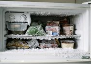 mencegah bunga es di freezer