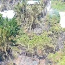 Kebakaran Hutan dan Lahan Buol