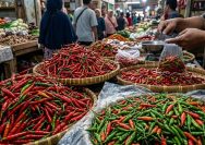 Harga Pangan PIHPS 15 September