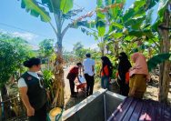 Kekeringan Banggai