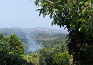 Kebakaran Lahan Santigi