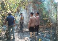 Kebakaran Kebun Kelapa Lambunu Utara