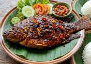 fakta ikan nila