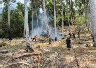 Kebakaran Hutan dan Lahan Desa Malotong