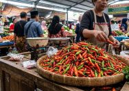 harga cabai rawit
