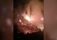 Kebakaran Hutan Bolano Induk
