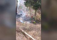 Karhutla Parigi Moutong
