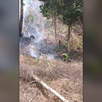 Karhutla Parigi Moutong