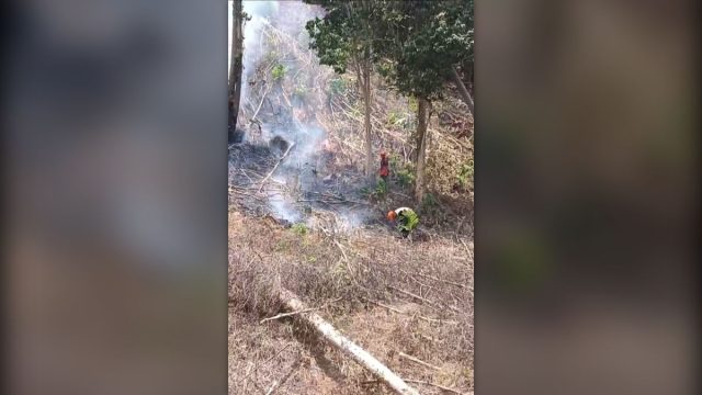 Karhutla Parigi Moutong