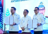 UMKM Sulawesi Tengah