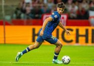 Kerim Alajbegovic