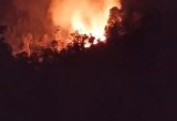 Kebakaran Lahan di Parigi Moutong Hanguskan 2 Hektare, Api Berhasil Dipadamkan