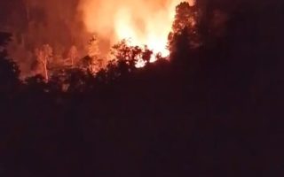 Kebakaran Lahan di Parigi Moutong Hanguskan 2 Hektare, Api Berhasil Dipadamkan