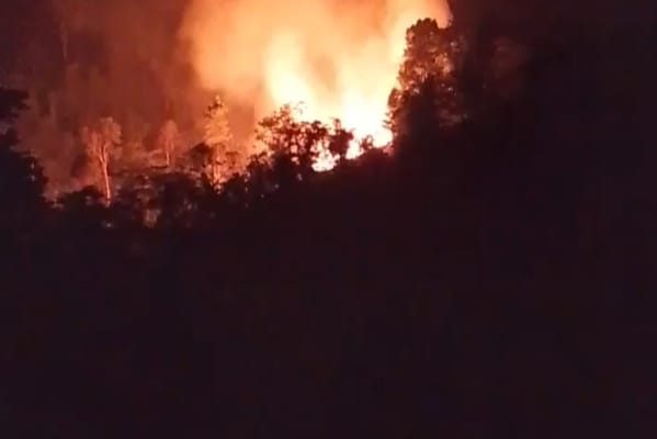Kebakaran Lahan di Parigi Moutong Hanguskan 2 Hektare, Api Berhasil Dipadamkan