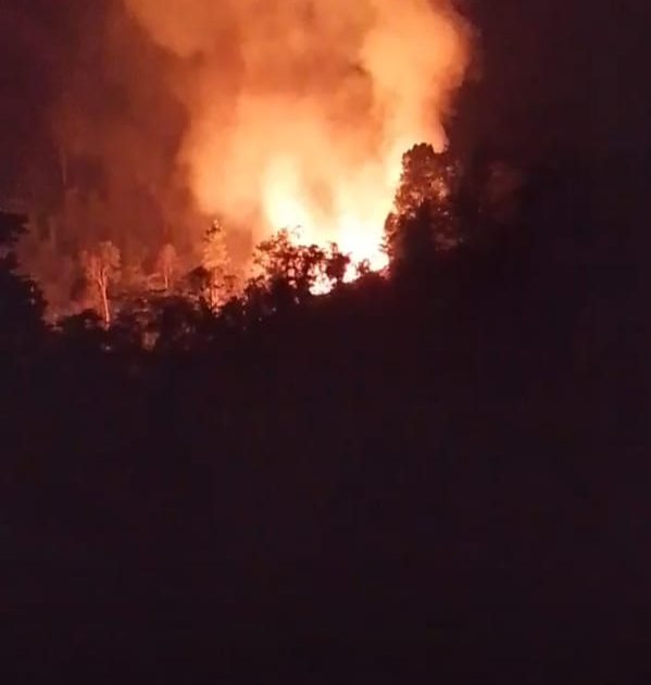 Kebakaran Lahan di Parigi Moutong Hanguskan 2 Hektare, Api Berhasil Dipadamkan