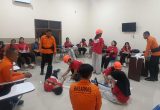 Dirgantara Flight School Palu