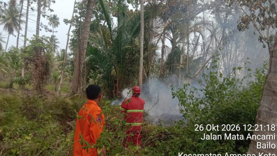 Kebakaran Lahan di Tojo Una-Una