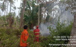 Kebakaran Lahan di Tojo Una-Una