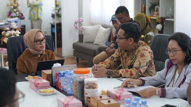Pemeriksaan BPK Palu