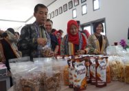 Bazar PIPAS Sulteng